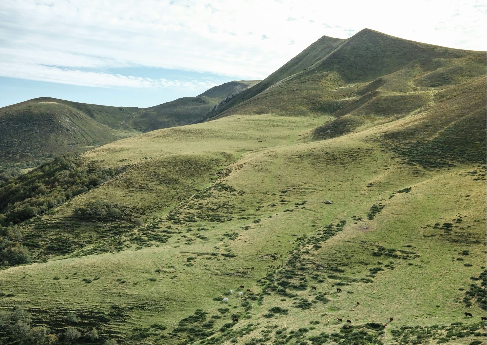 Eden Volcanique - Voyage en Auvergne