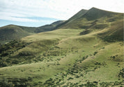 Eden Volcanique - Voyage en Auvergne