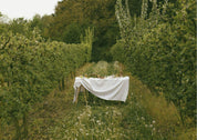 Jardin Originel - Voyage en Normandie