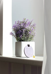 Classic White Aroma Ornament